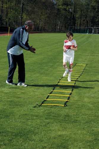 271_1tvxPxyxLACPqY Coordination Ladder usage