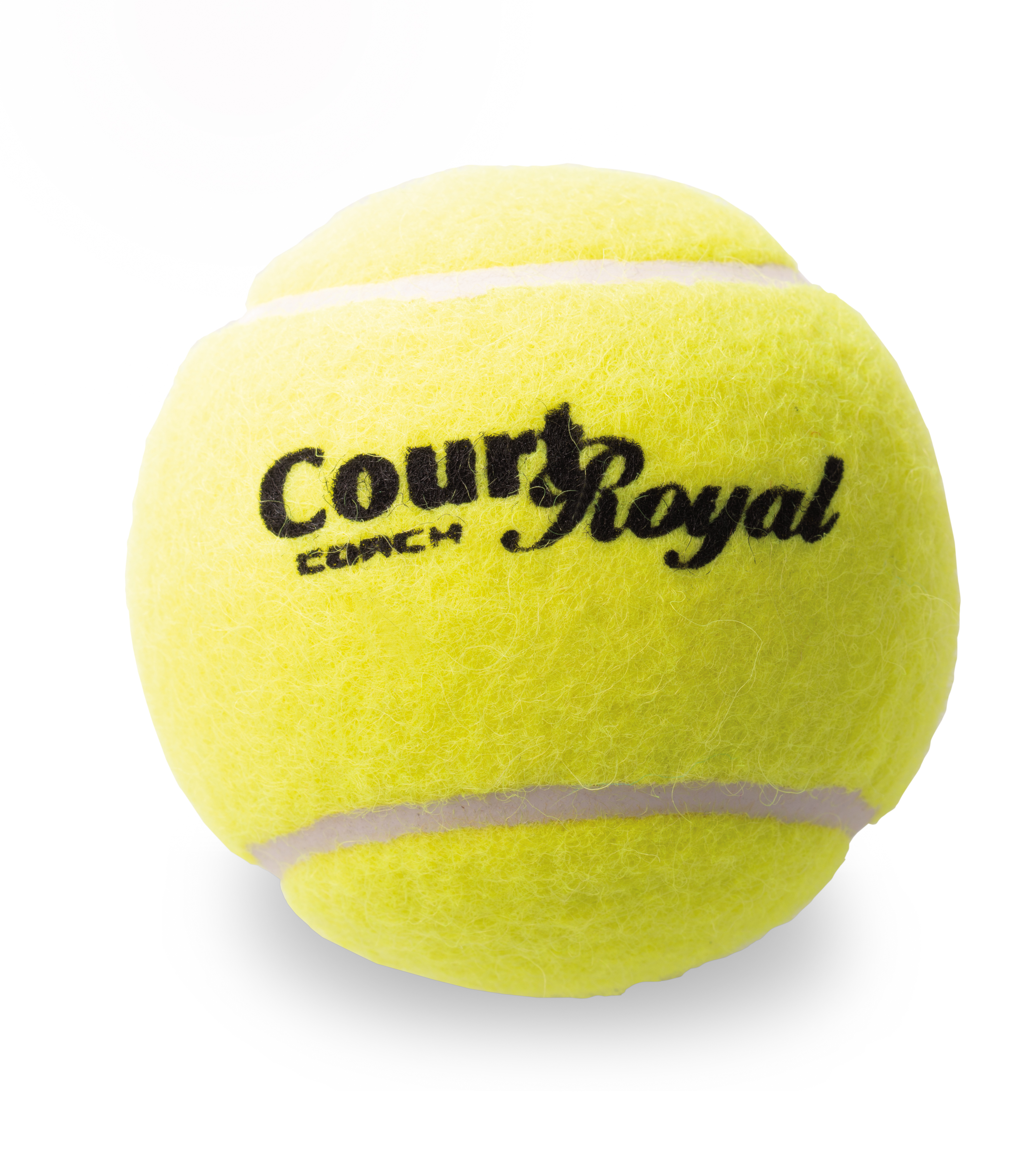 Tennisball Court Royal Coach - pack of 60