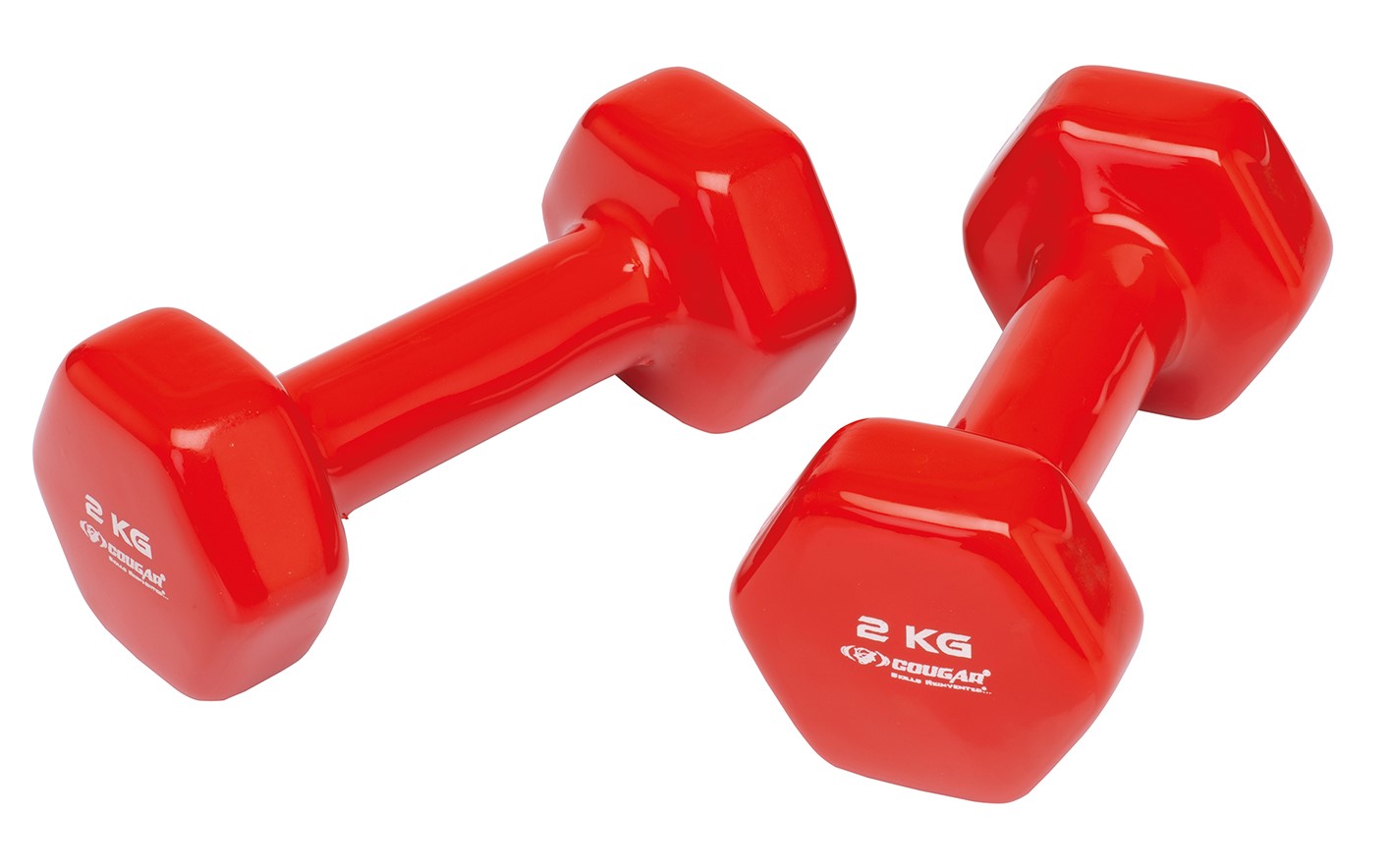 US_702301_FitnessHanteln Dumbbell 2 kg