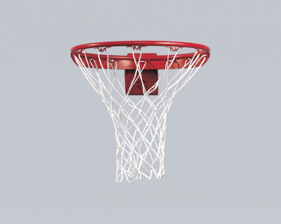 377_0psvtrbOkpL4Sd Streetball Goal Flex 30