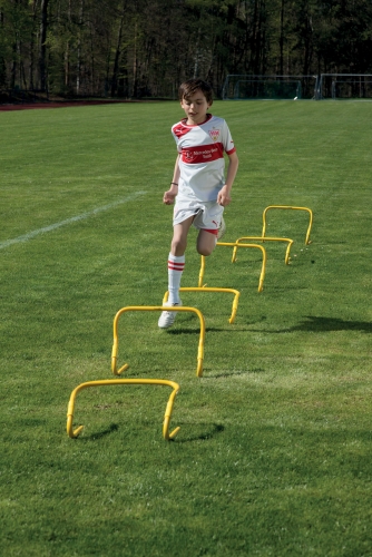 1158_1Xjjf26V65c633 Hurdles Set usage